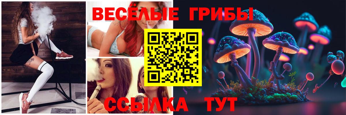 Псилоцибиновые грибы Psilocybe Долгопрудный