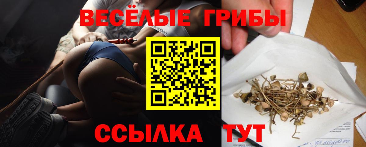 Галлюциногенные грибы прущие грибы  где купить наркотик  Галлюциногенные грибы мухоморы  Долгопрудный  Вход с VPN 